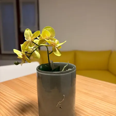 Ferienhaus Greenspit House